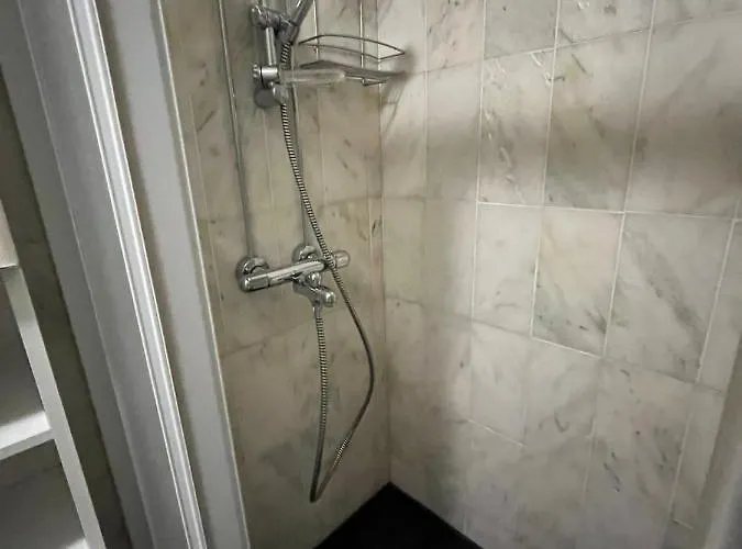 דירה Kaliininkuja לפואה