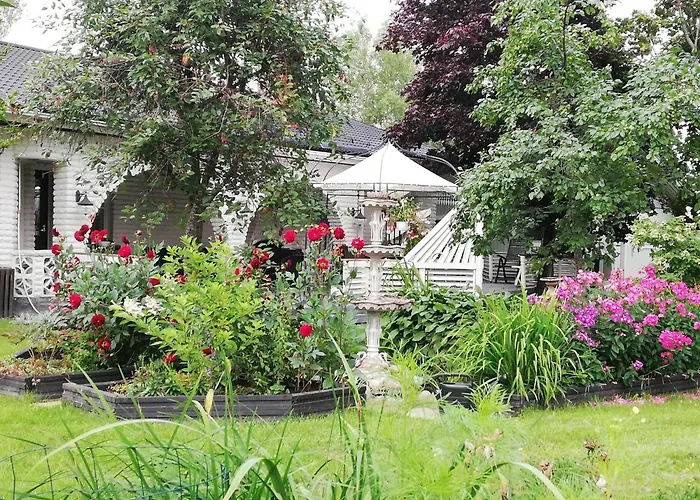 Kaliininkuja * לפואה